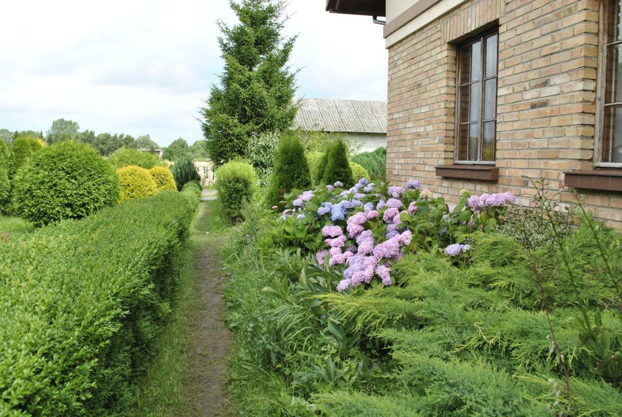 Domek Skandynawski Sarbinowo Exteriér fotografie